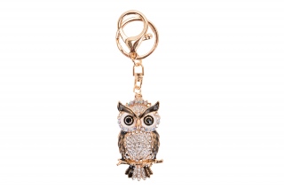 Fashion JEWELRY 